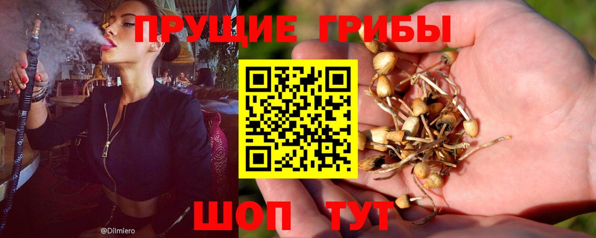 Псилоцибиновые грибы Psilocybine cubensis  Вход с VPN  Самара 