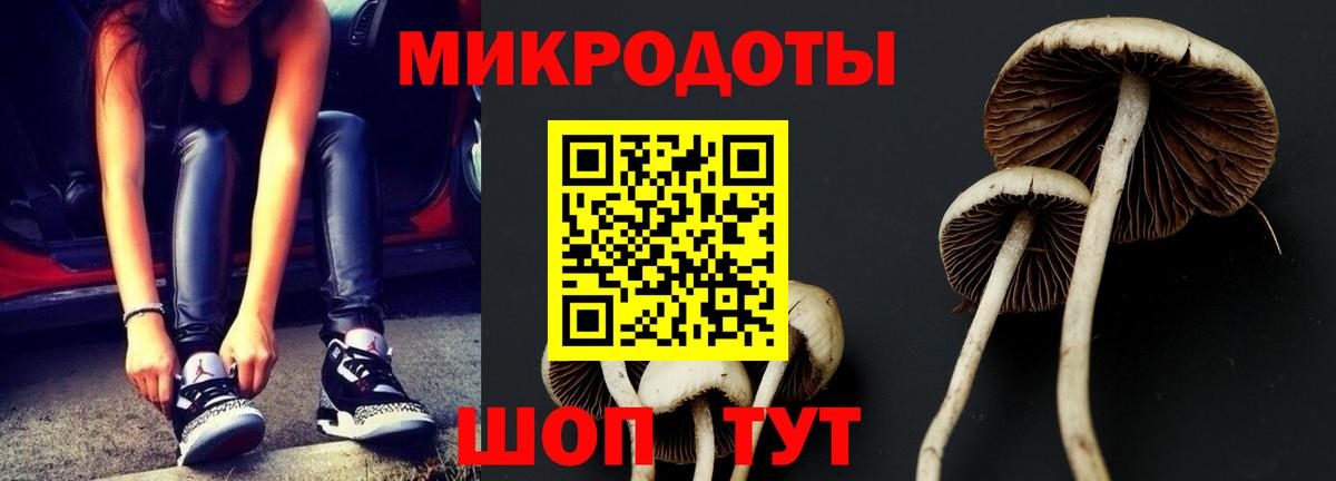 Галлюциногенные грибы GOLDEN TEACHER Самара
